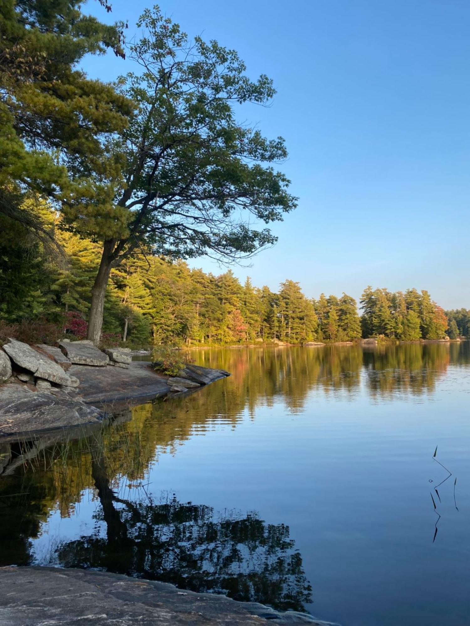 Blue Spruce Bed And Breakfast Muskoka Gravenhurst Exteriér fotografie