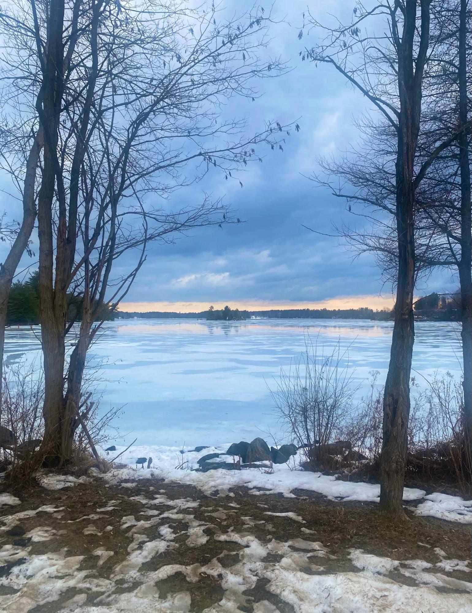 Blue Spruce Bed And Breakfast Muskoka Gravenhurst Exteriér fotografie