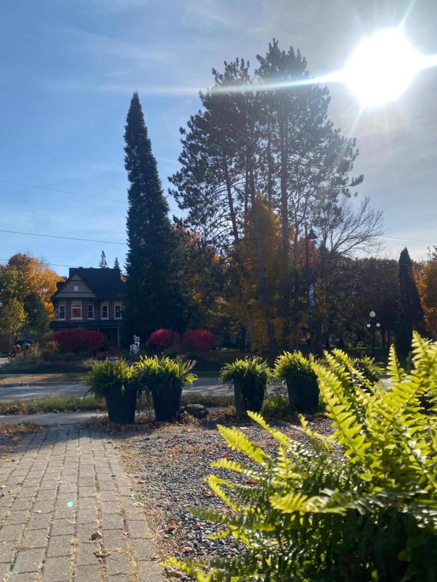 Blue Spruce Bed And Breakfast Muskoka Gravenhurst Exteriér fotografie